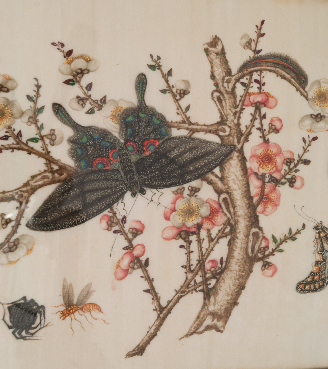 Collection of 4 Chinese Entomology Paintings on Rice Paper
