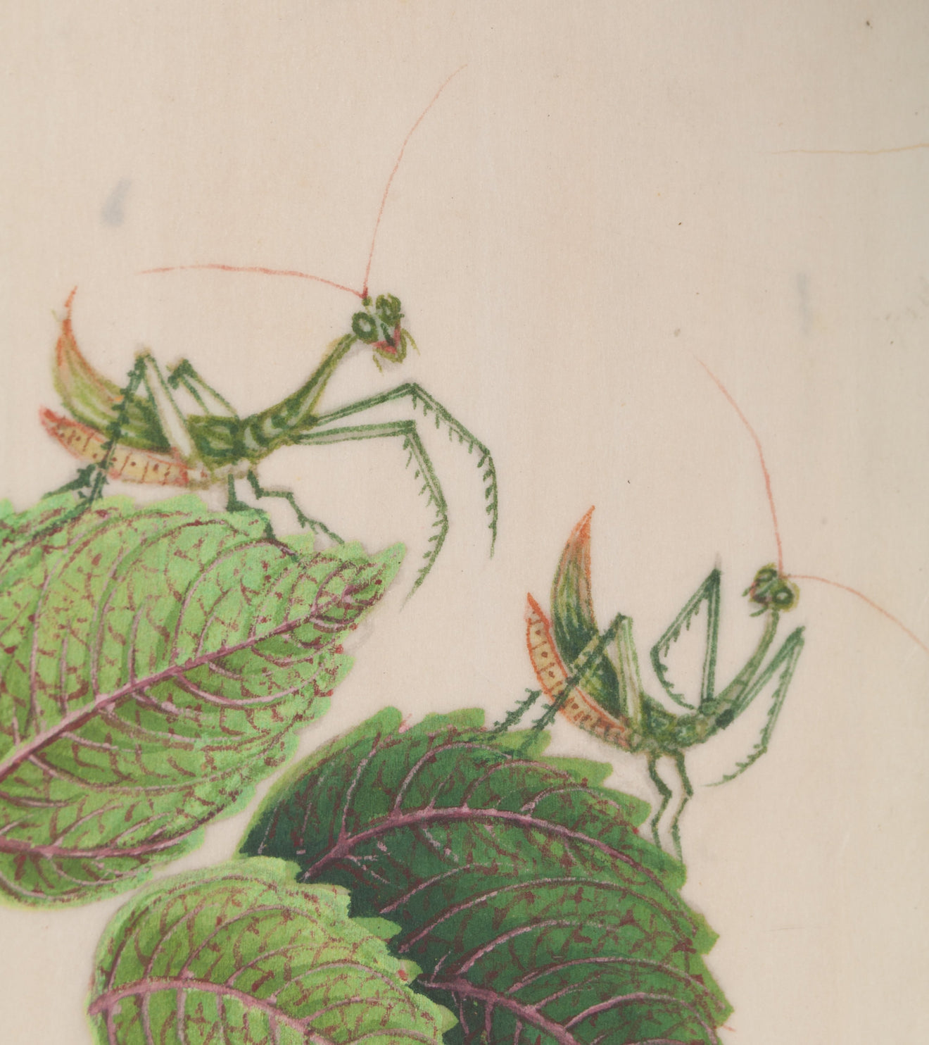 Collection of 4 Chinese Entomology Paintings on Rice Paper
