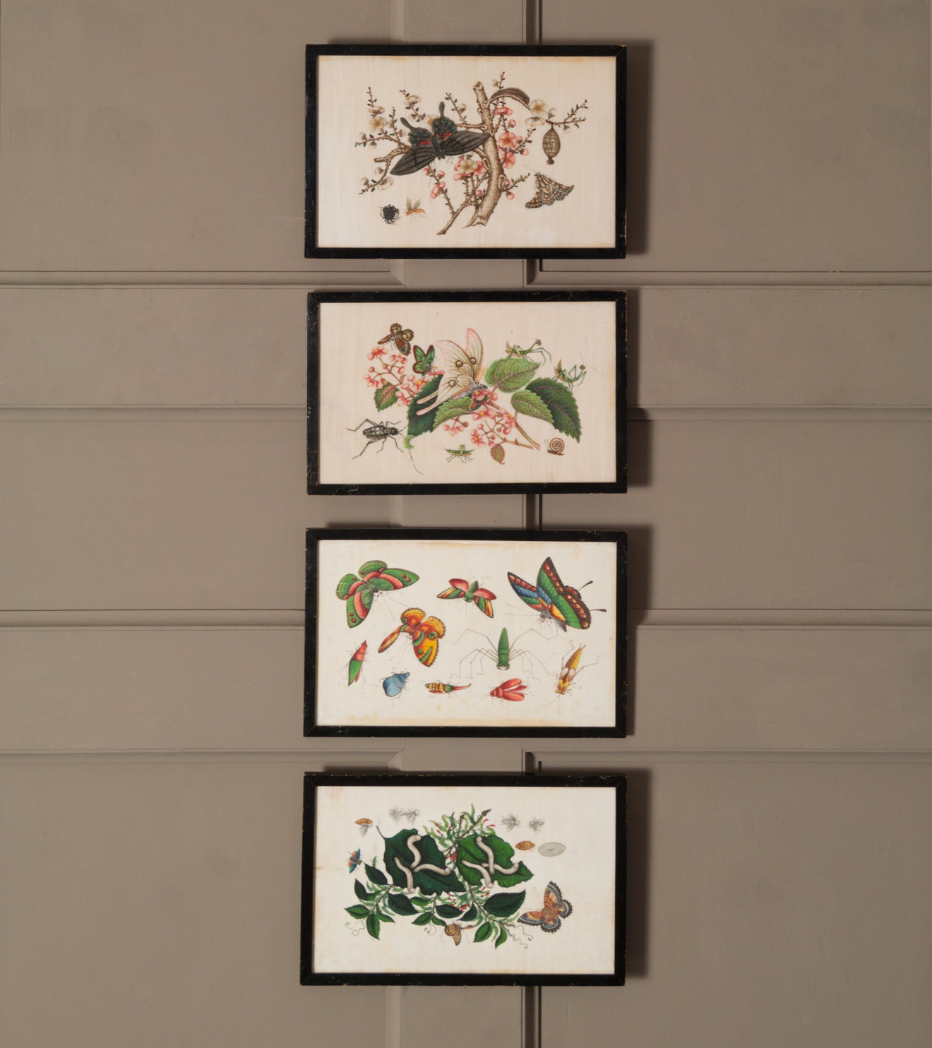 Collection of 4 Chinese Entomology Paintings on Rice Paper