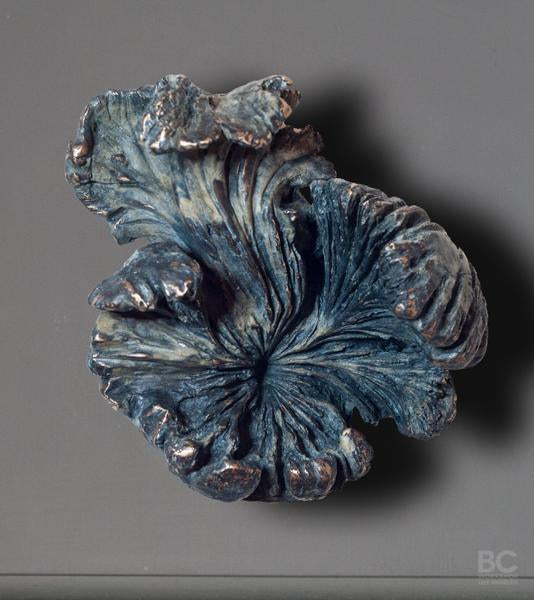 Funghi Hook, Large Style A