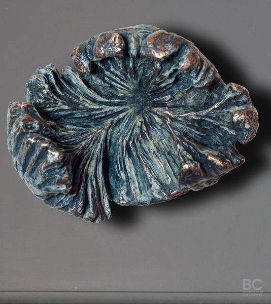 Funghi Hook, Large Style B