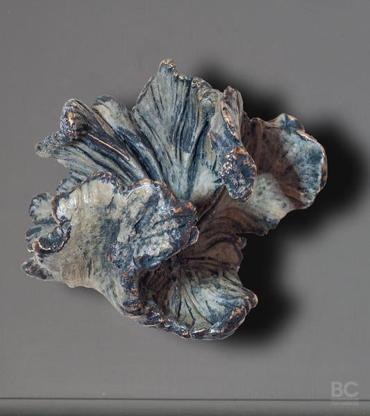 Funghi Hook, Medium Style C