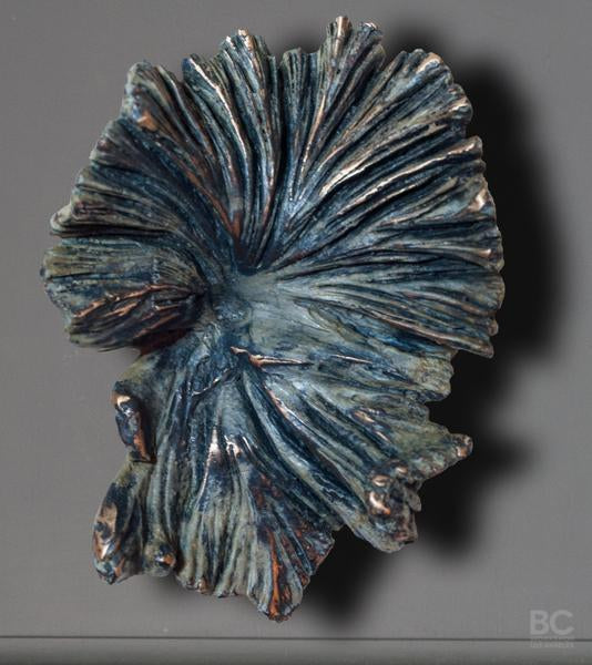 Funghi Hook, Medium Style D