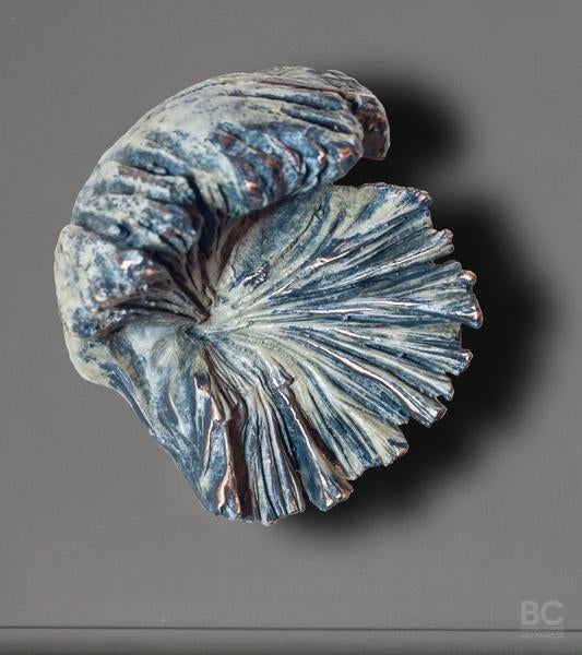 Funghi Hook, Medium Style E