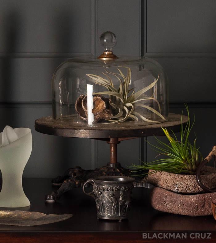 Grand Tour Skeleton Cup