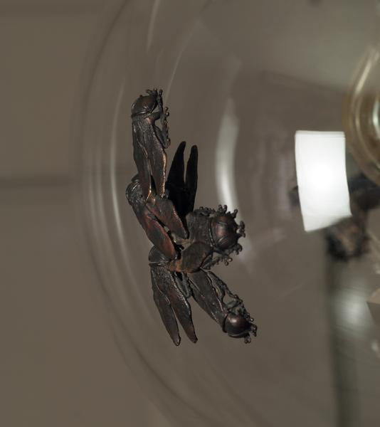 Ichabod by Jane Hallworth