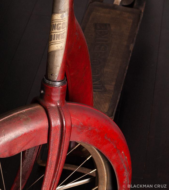 Eccentric-Hub Indo-Bike