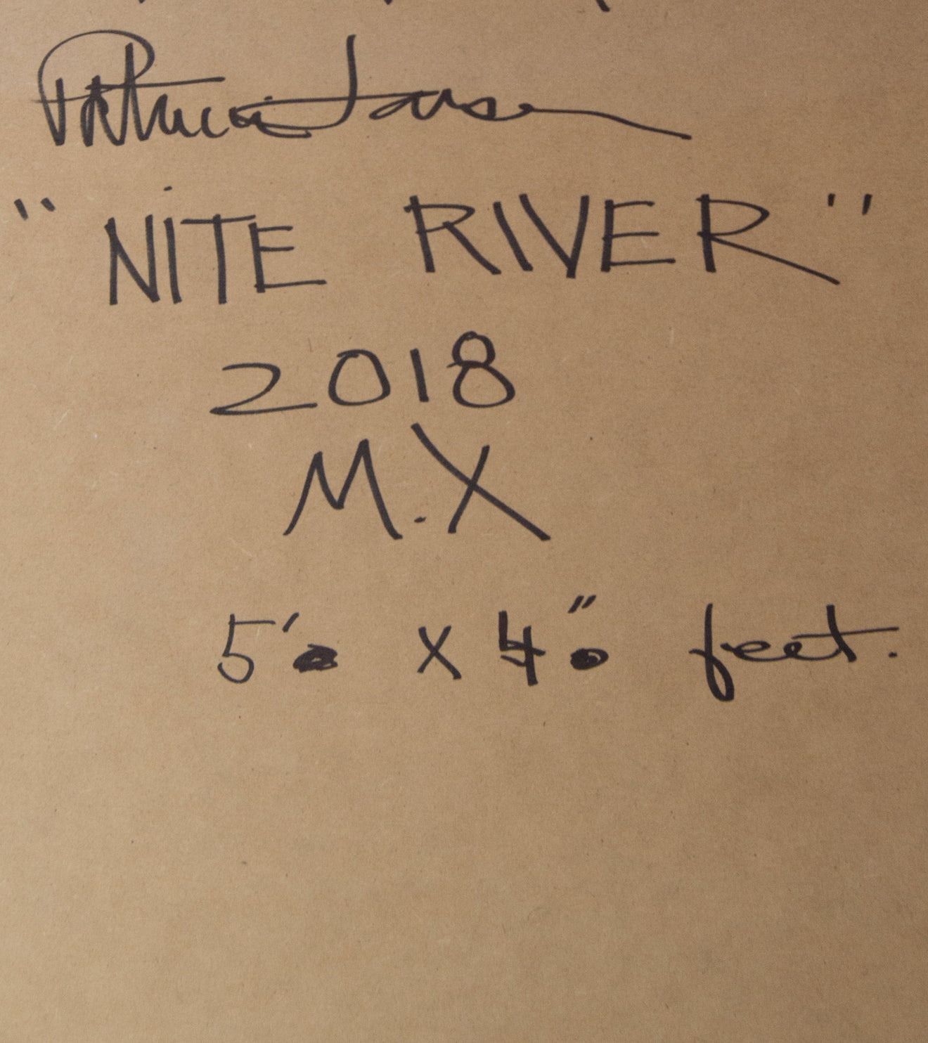 'Nite River' by Patricia Larsen