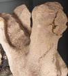 Pair of Gargoyles