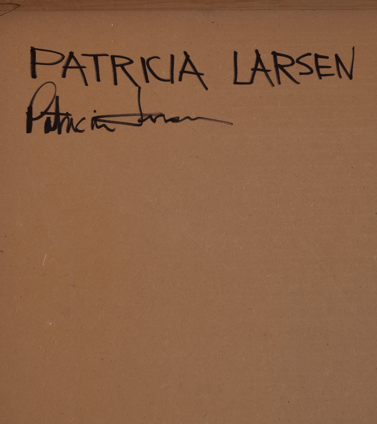 'Shimmer' by Patricia Larsen