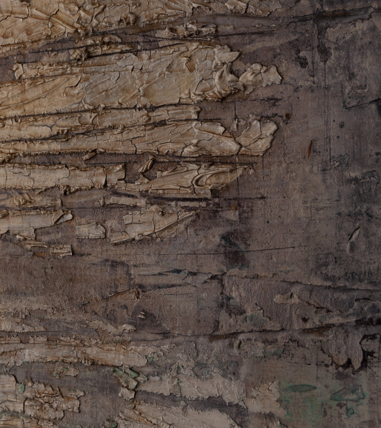 'Shimmer' by Patricia Larsen