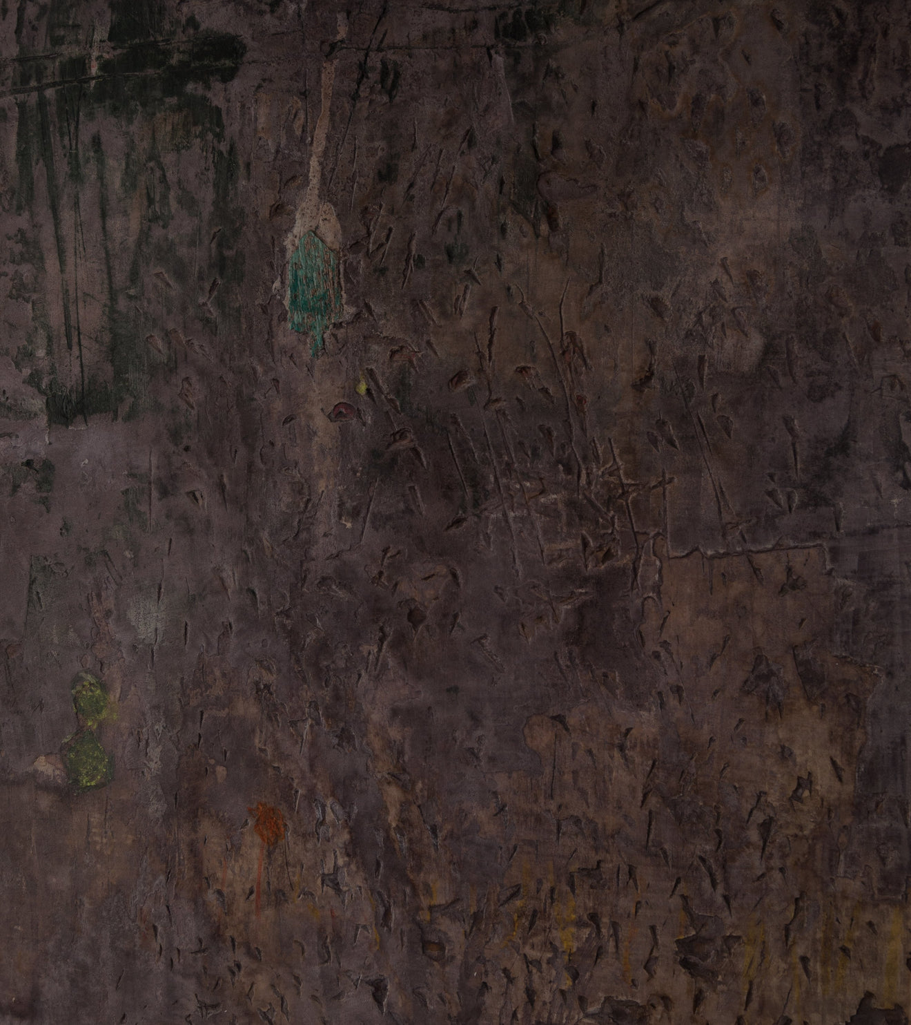 'Shiva's Garden' by Patricia Larsen