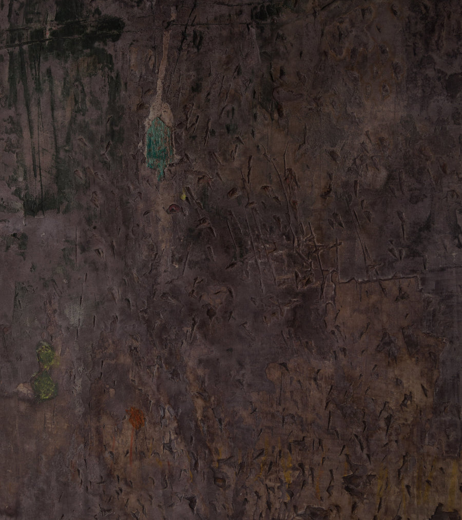 'Shiva's Garden' by Patricia Larsen