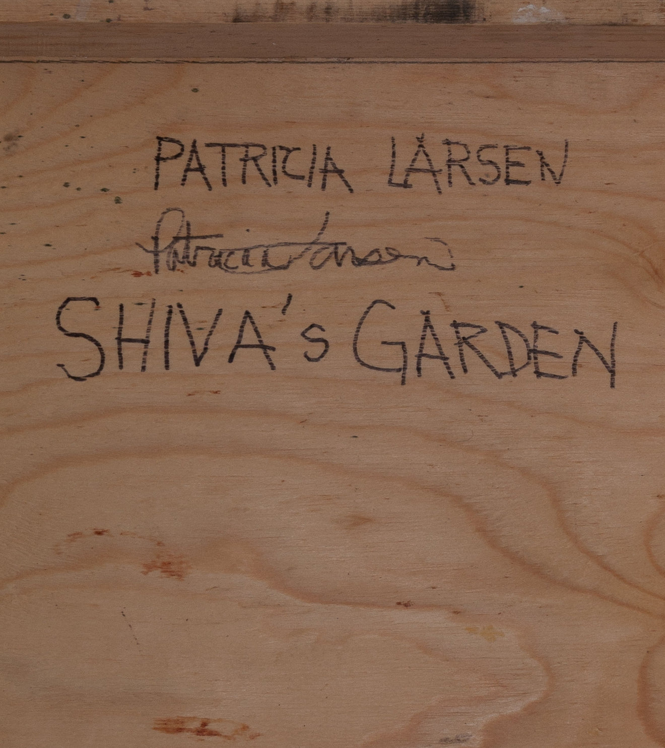 'Shiva's Garden' by Patricia Larsen