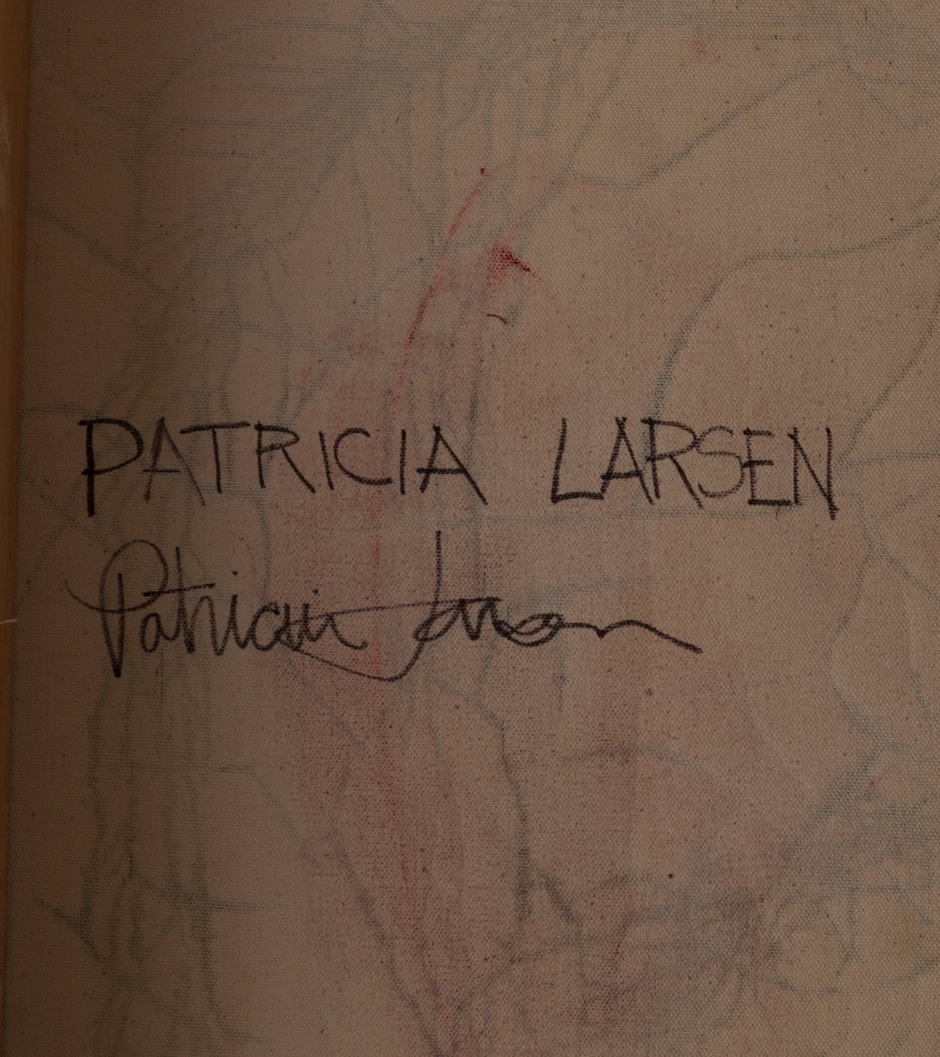 'Night Walk' by Patricia Larsen