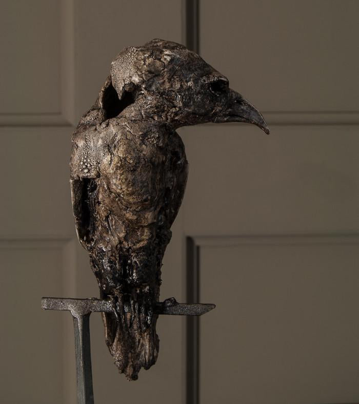 'Rook 1' by Emma Rodgers