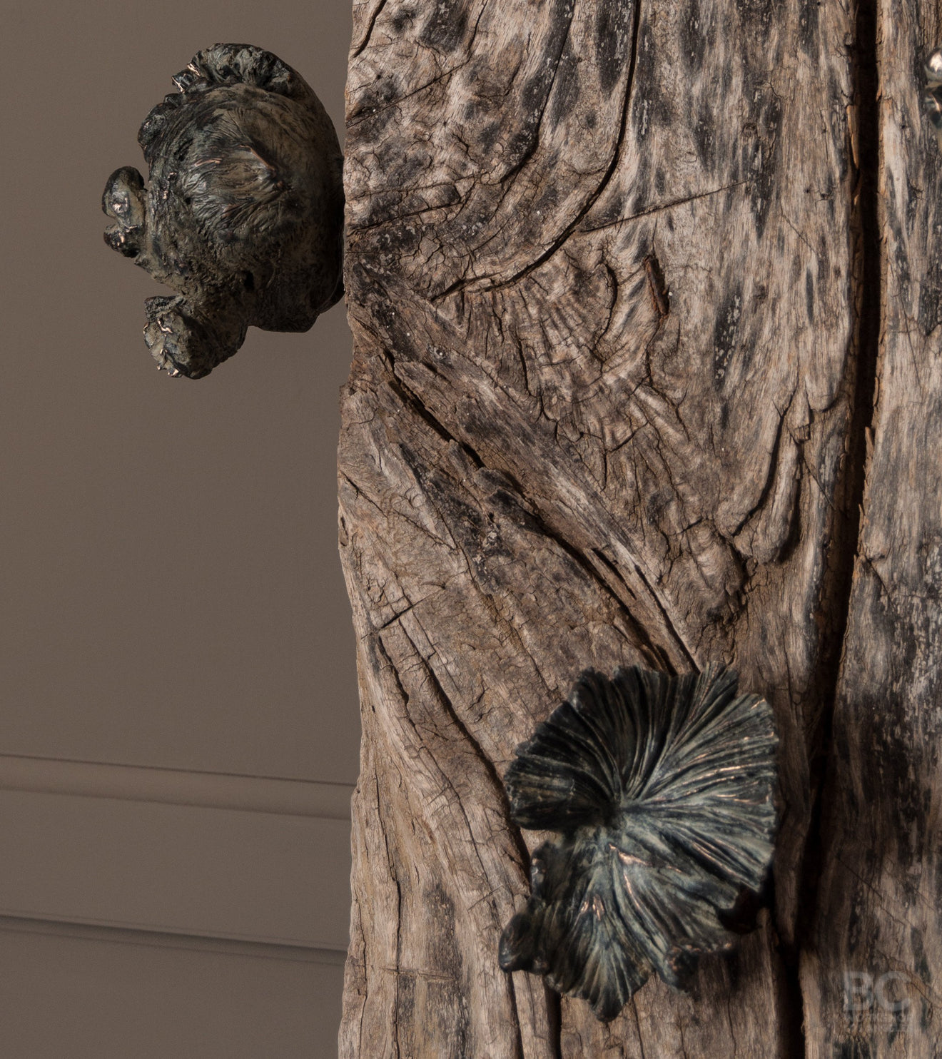 Funghi Hook Collection on Antique Beam