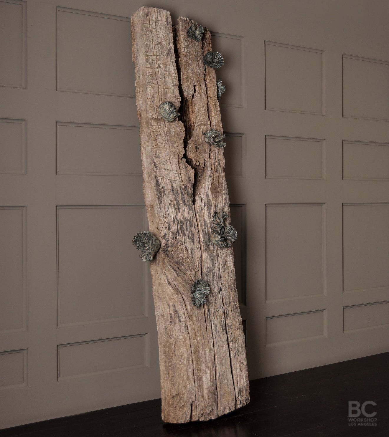 Funghi Hook Collection on Antique Beam