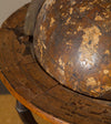 Terrestrial  8" Globe