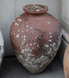 Italian Encrusted Terracotta Urn