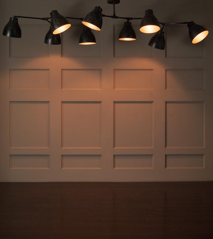 Horizontal Branch Hanging Light by Thierry Jeannot