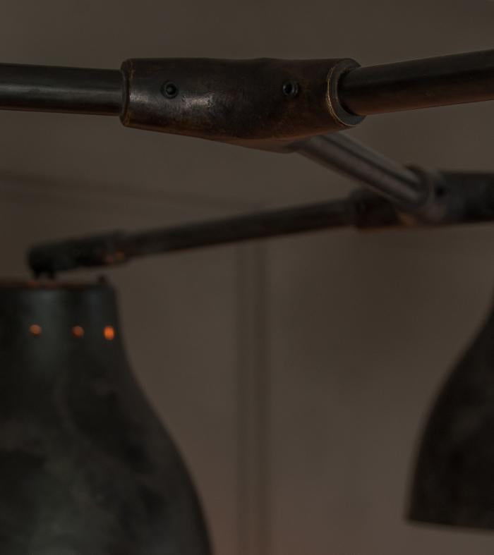 Horizontal Branch Hanging Light by Thierry Jeannot