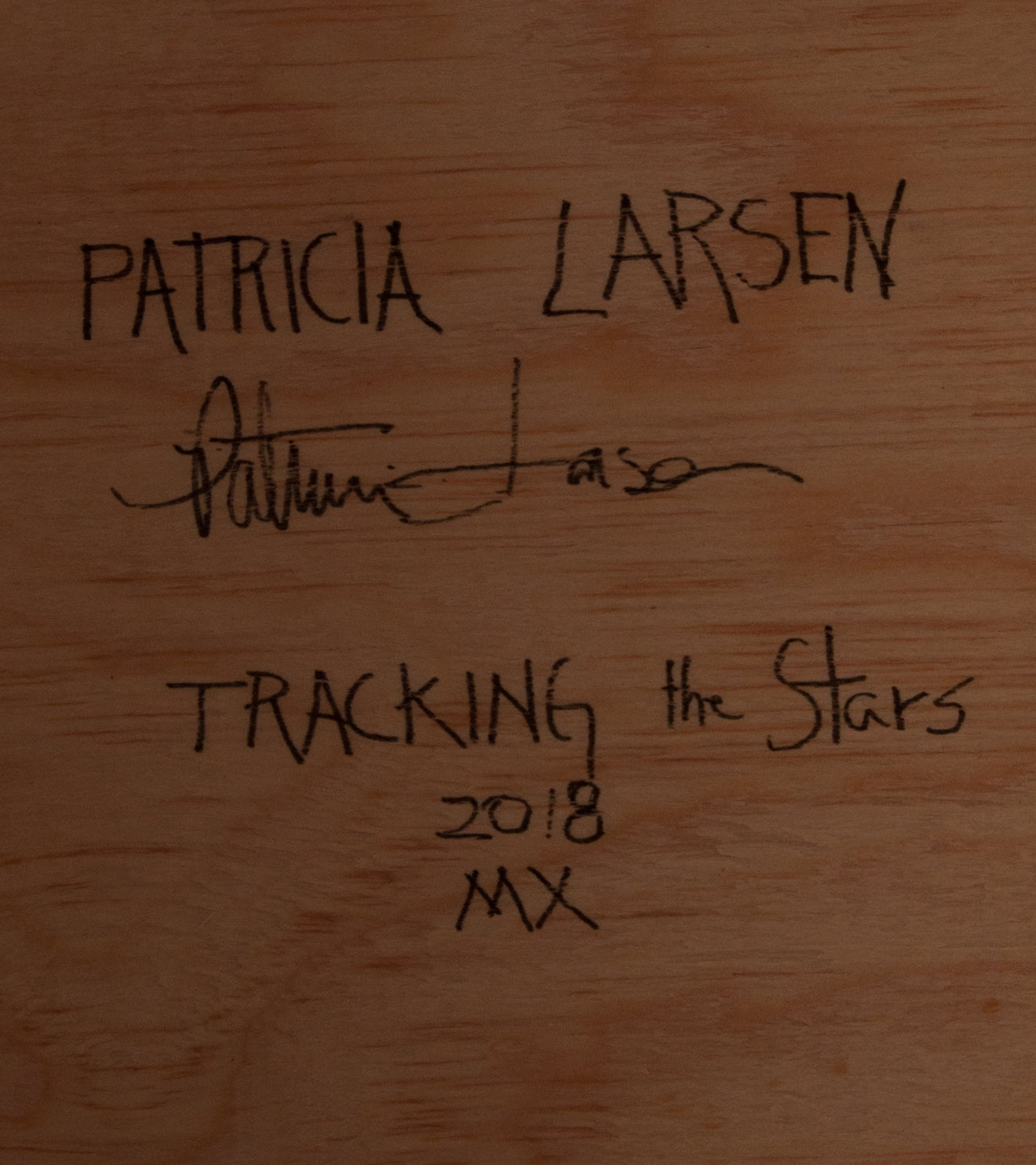 'Tracking the Stars' Patricia Larsen