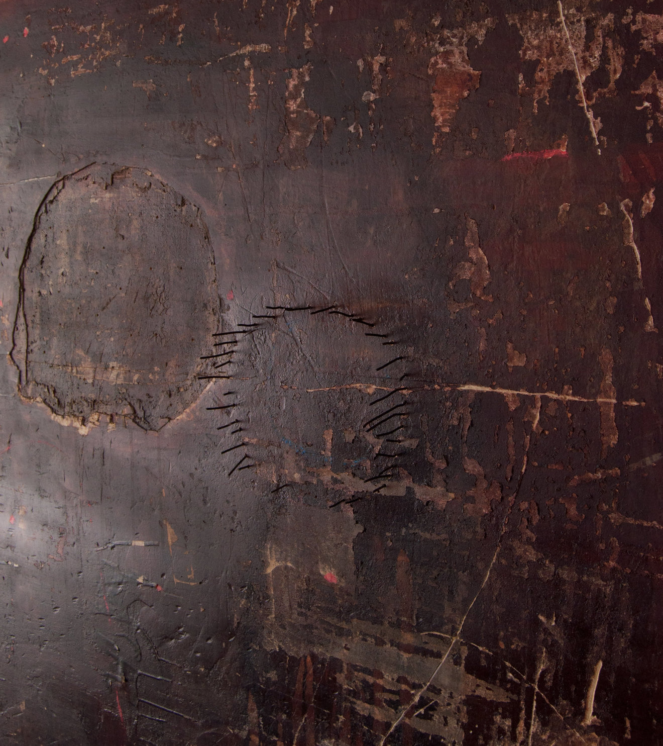 'Tracking the Stars' Patricia Larsen